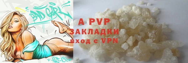 прущие грибы Мегион