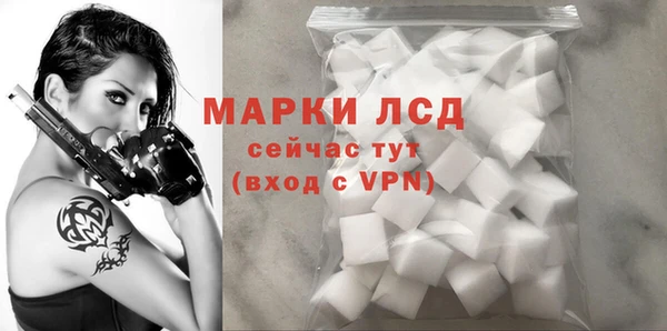прущие грибы Мегион