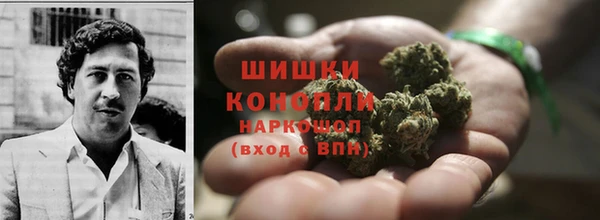 Альфа ПВП Медногорск