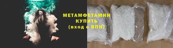 прущие грибы Мегион