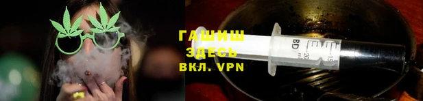 прущие грибы Мегион