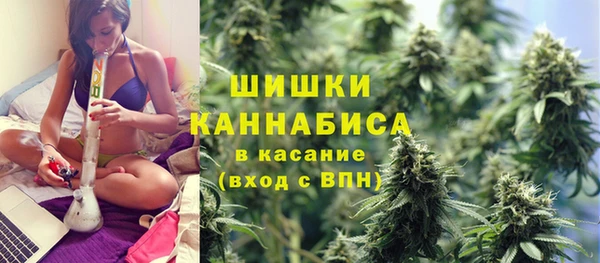 стаф Майский