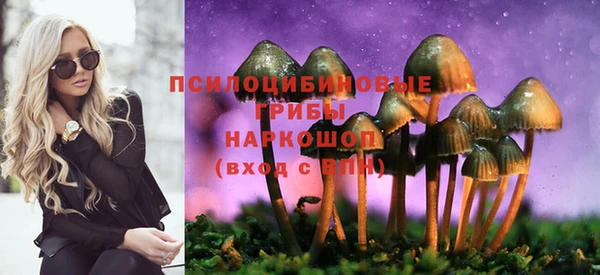 ALPHA-PVP Медвежьегорск