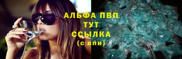 прущие грибы Мегион