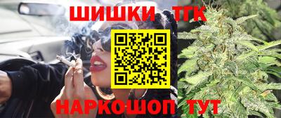 прущие грибы Апшеронск