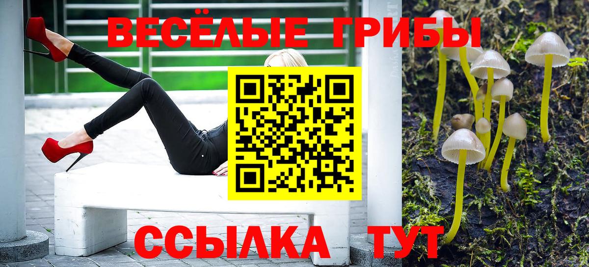 Усинск  Псилоцибиновые грибы Magic Shrooms  Вход с VPN  Галлюциногенные грибы Psilocybe 