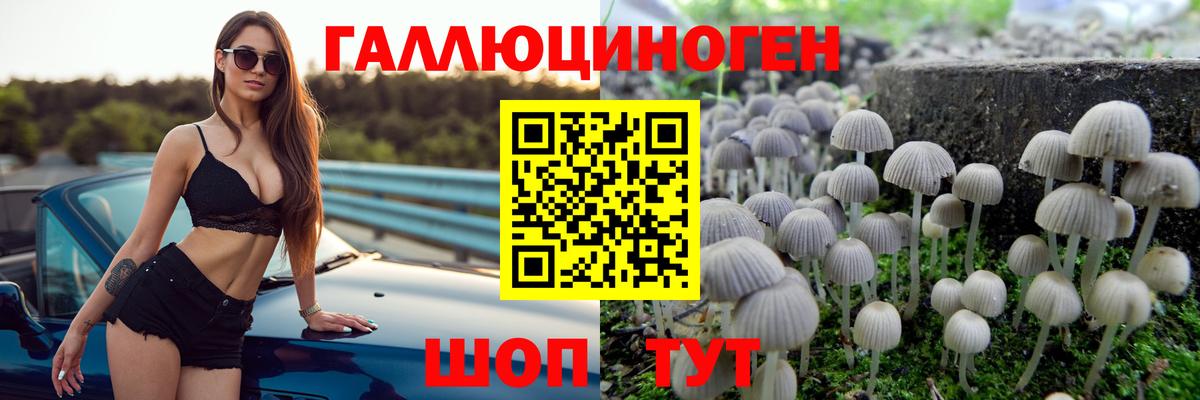 Галлюциногенные грибы мухоморы Усинск