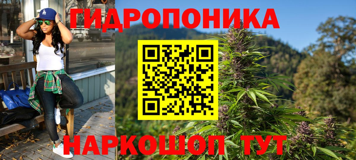 Каннабис Bruce Banner  Марихуана ГИДРОПОН  Усинск  Вход с VPN  Шишки марихуана конопля 